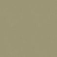thumbnail image 2 of R&E Paint Supply Compatible with Nissan EM1, Champagne Gold Automotive Paint, 2 of 4
