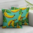 thumbnail image 2 of HENGT Tropical Palm Leaves and Bananas Throw Pillow Covers 2pcs Pillow Cover With Zipper Throw Pillow Cases Double Sided Plush Pillow Covers Decorative Throw Pillows Covers for Couch Living, 2 of 6