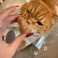 thumbnail image 5 of Cat Hair Keychain – Transparent Pet Fur Memorial Pendant, Cat Fur Memory Charm for Cat & Dog Lovers, Personalized Keepsake Gift, 5 of 10