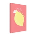thumbnail image 4 of Trademark Fine Art Athene Fritsch  Limon Canvas Wall Art, 4 of 4