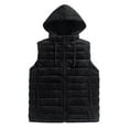 thumbnail image 2 of Zedker Men's Hooded Puffer Vest Winter Thermal Full Zip Sleeveless Down Jacket Causal Solid Color Warm Outerwear with Pockets Black L, 2 of 6