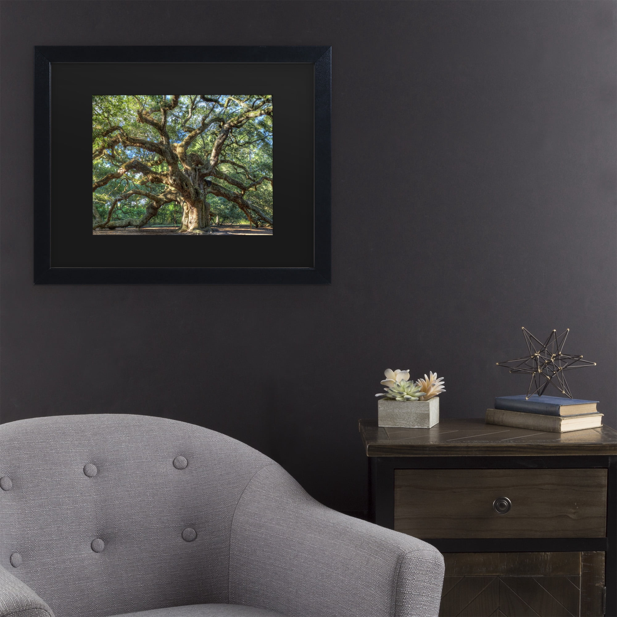 Trademark Fine Art 'Angel Oak Charleston' Canvas Art by Pierre Leclerc