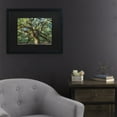 thumbnail image 3 of Trademark Fine Art 'Angel Oak Charleston' Canvas Art by Pierre Leclerc, 3 of 4
