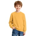 thumbnail image 2 of Resicozy Boys Sweatshirts Long Sleeve Casual Crew Neck Soft Teen Pullover Sweaters Trendy Solid Color Sweatshirt 2026 3-14 Years Orange 110, 2 of 5