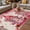 Pink HotPink Beige, variant on Valentine's Day Outdoor Rug for Patio/Deck/Porch, Non-Slip Large Area Rug 6 x 9 Ft, Ombre Pink Gnomes Love Roses Romantic Indoor Outdoor Rugs Washable Area Rugs, Reversible Camping Rug Carpet Runner