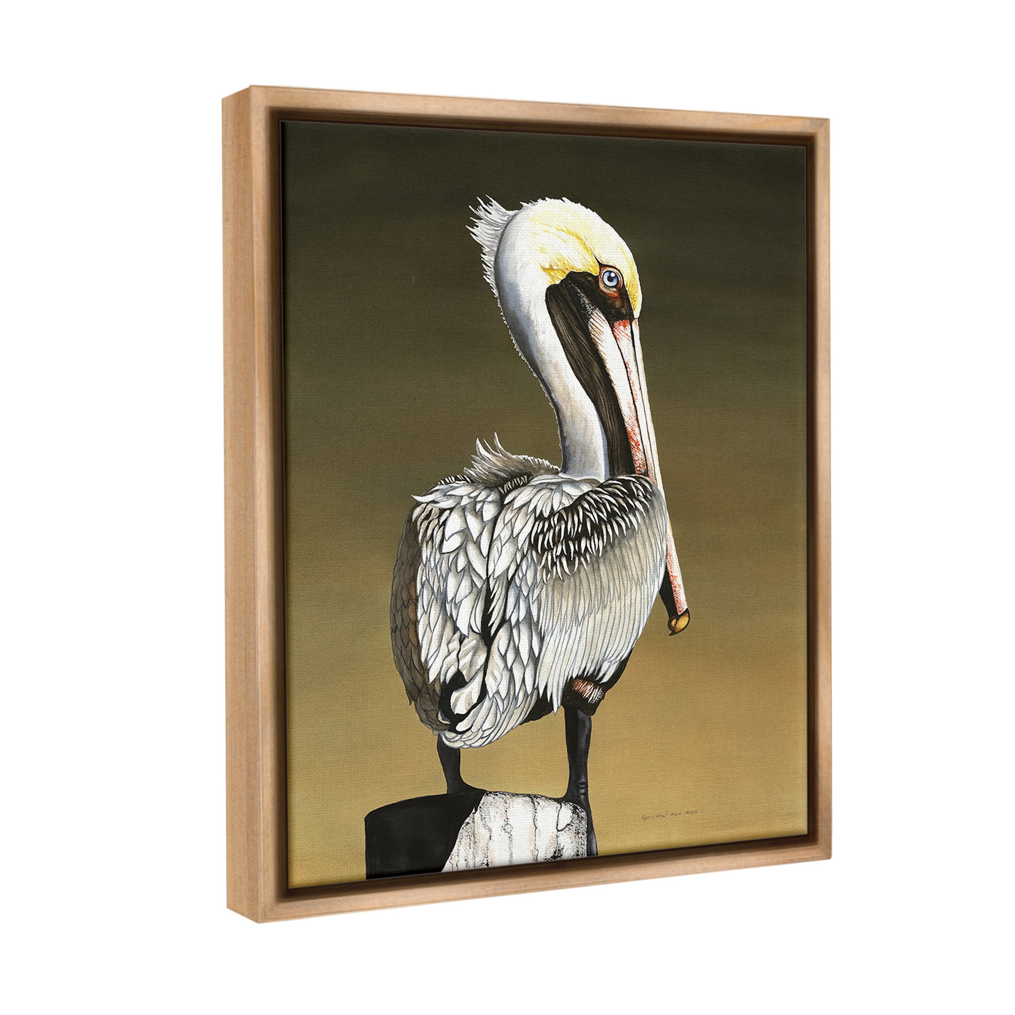 Stupell Industries Pelican with Intense Gaze Animals & Insects Painting Brown Floater Framed Canvas Art Print Wall Art, 25 x 31
