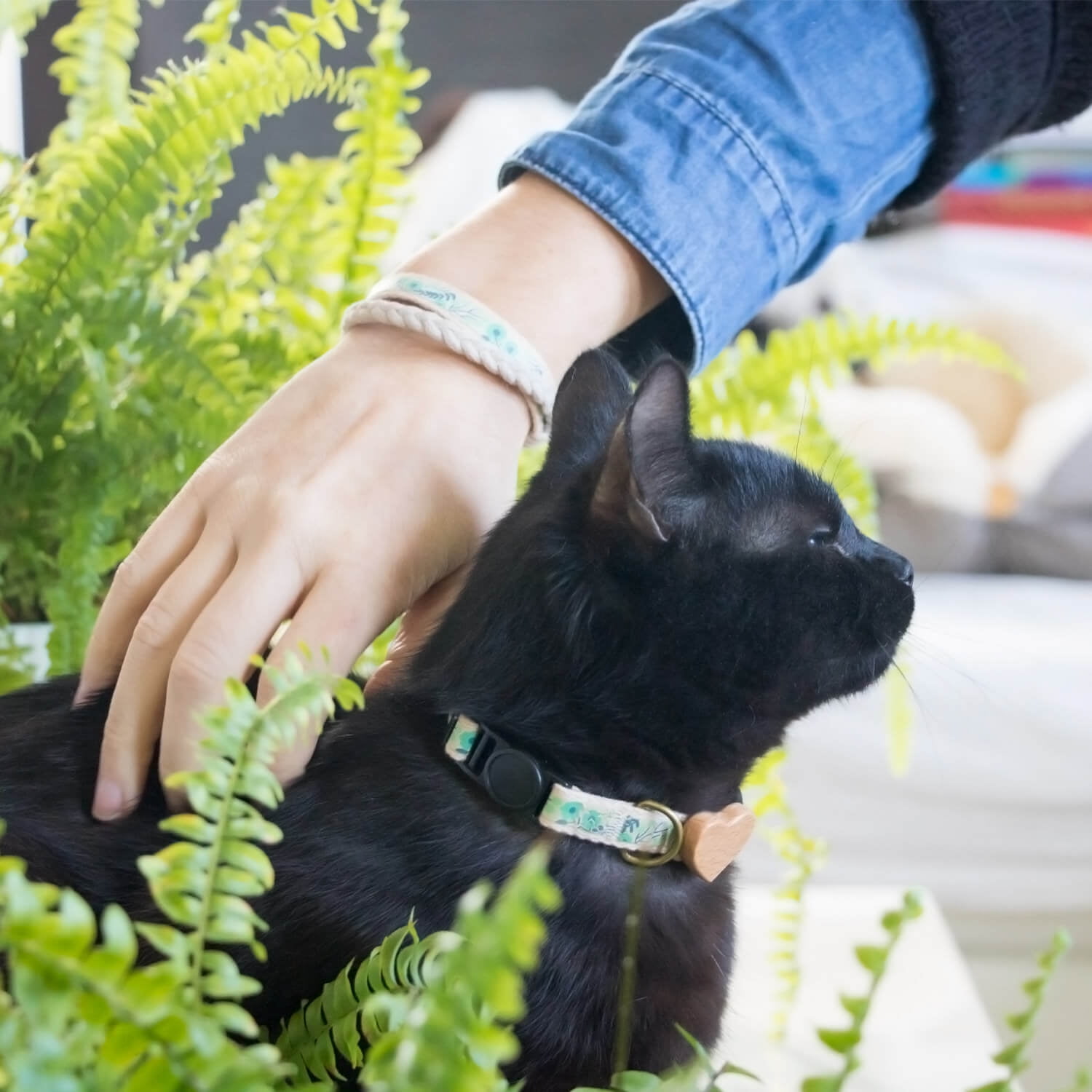 Matching cat collar and human bracelet hotsell