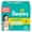 White 2, variant on Pampers Swaddlers Diapers Size 4, 116 Count