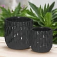 thumbnail image 5 of Wren Emboss Ceramic Planter Set (Set of 2), 5 of 11