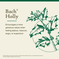 thumbnail image 3 of Bach Original Flower Remedies, Holly - 20 mL Dropper, 3 of 6