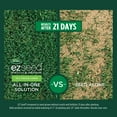 thumbnail image 3 of Scotts EZ Seed Patch & Repair Tall Fescue Lawns, 20 lbs., 3 of 9