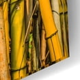 thumbnail image 3 of Epic Art 'Bamboo' by Mark A Paulda, Acrylic Glass Wall Art, 24"x16", 3 of 8
