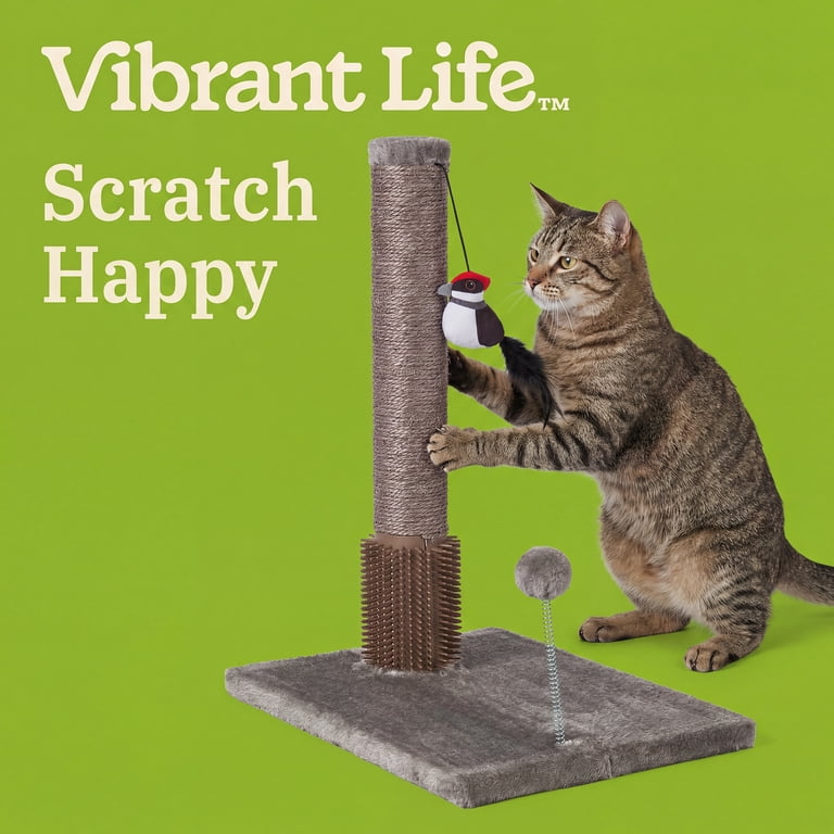 Vibrant Life 19" Cat Scratcher Post with Interactive Toys photo 4