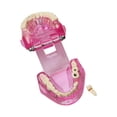 thumbnail image 2 of lionlar Dental Demonstration Teeth Model Observation Practical Removable Study Teach pink, 2 of 9