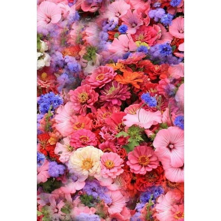 Spring Flowers Notebook (Paperback)