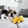 thumbnail image 4 of Realistic French Bulldog, Pup Dog Stuffed Animal - 9.8'' Creative Cuddy Puppy Plush Toy, 4 of 4