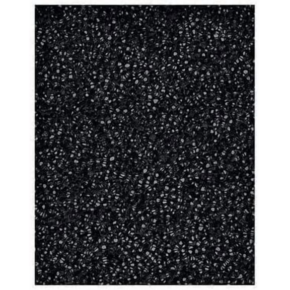 Replacement Part For Oreck Vacuum Cleaner Air Instinct Charcoal Filter # 1YROPK1