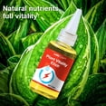 thumbnail image 5 of Limetown Phytovitamin Solution, Limetown Plant Fertilizer, Limetow Plant Vitality Elixir, Limetown Solution Plant Vitality Elixir, Suitable for All Plant Types, 5 of 5