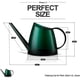 thumbnail image 1 of Indoor Watering Can for House Bonsai Plants Garden Flower Long Spout 40oz 1.4L 1/3 Gallon Small Modern Translucent Green, 1 of 4