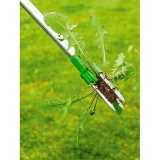 Long Handle Claw Weeder - 3 Claws, Sharp Stainless Steel, Compact Garden  Weeding Tool - Garden Hand Tool