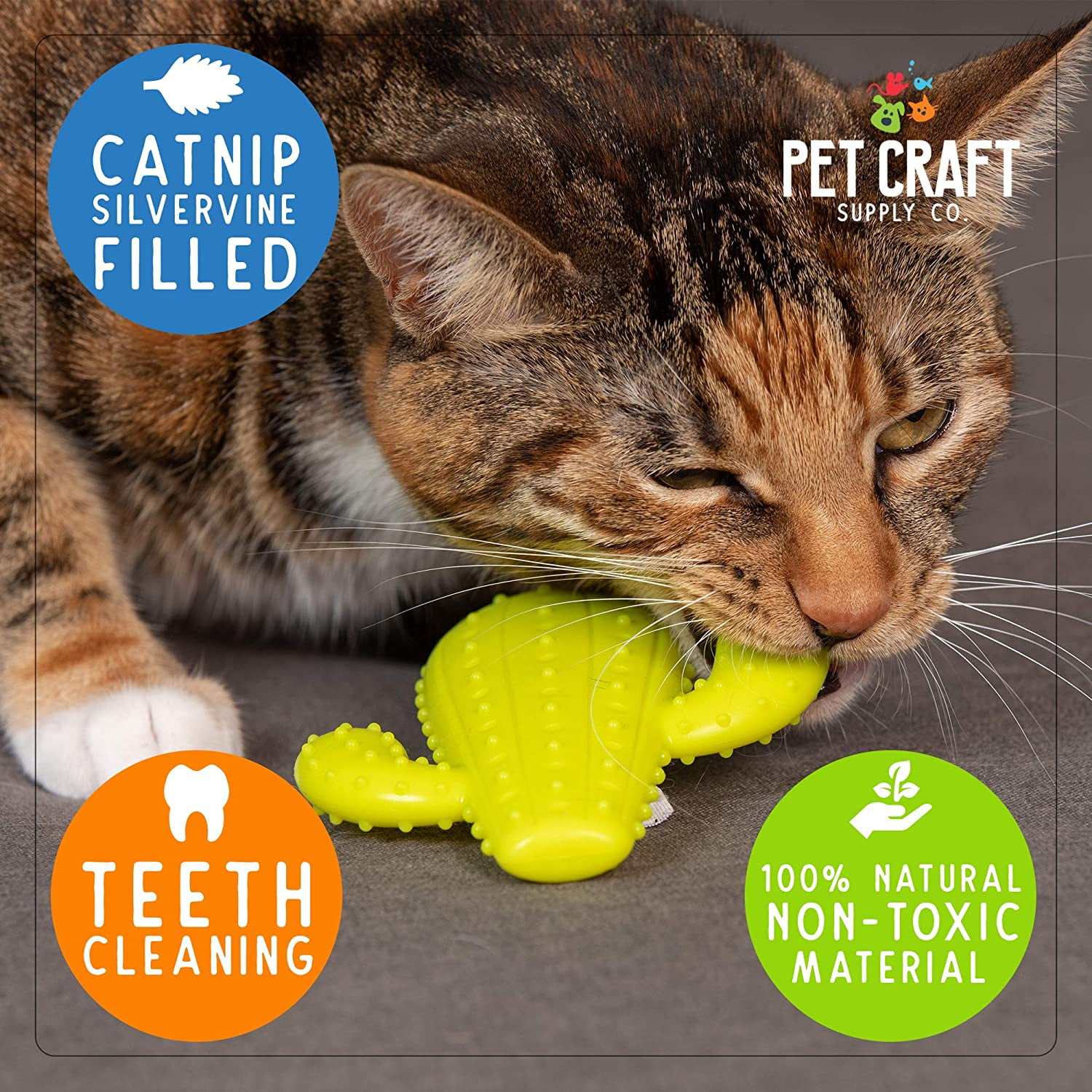 Cactus chew toy sales