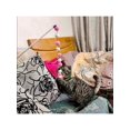 thumbnail image 3 of 1pc Pink & White Pom Pom Feather Teaser Wand For Cat Interactive Play, 3 of 5