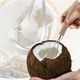 thumbnail image 4 of Herramienta de eliminación de pulpa de coco, raspador de pulpa de coco de acero inoxidable Meyoju con mango de madera duradero, cortador de raspador de coco, sandía melón multiusos oso de fresa Electrónica, 4 of 5