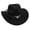 Black, variant on felwors Unisex Western Cowboy Hat Fur Felt Cowgirl Hats Wide Brim with Belt Buckle
