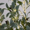 thumbnail image 6 of Nearly Natural 5ft. Lighted Artificial Fruiting Olive Tree with 200 Warm White LED Lights, 6 of 8