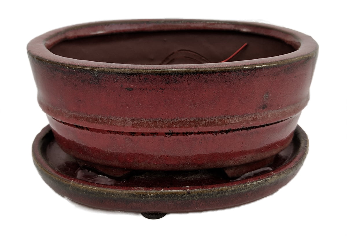 Pro Bonsai Pot/Saucer PreWired/Screened Red Oval 8.5" x 6.5" x 3