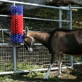 thumbnail image 6 of Premier Scratch Brush for Livestock (XL Brush), 6 of 7