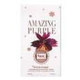 thumbnail image 4 of Perfume Hybrid & Company Amazing Purple 100 ml EDP, 4 of 6