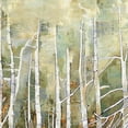 thumbnail image 3 of Masterpiece Art Gallery Necessary Change Summer Birch by Danna Harvey Canvas Art Print 30" x 30", 3 of 4