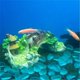 thumbnail image 2 of Decoración de Resina para Pecera, Adorno de Resina para Puente Artificial de Cueva de Acuario, Piezas de Decoración para Pecera de Acuario, 2 of 5