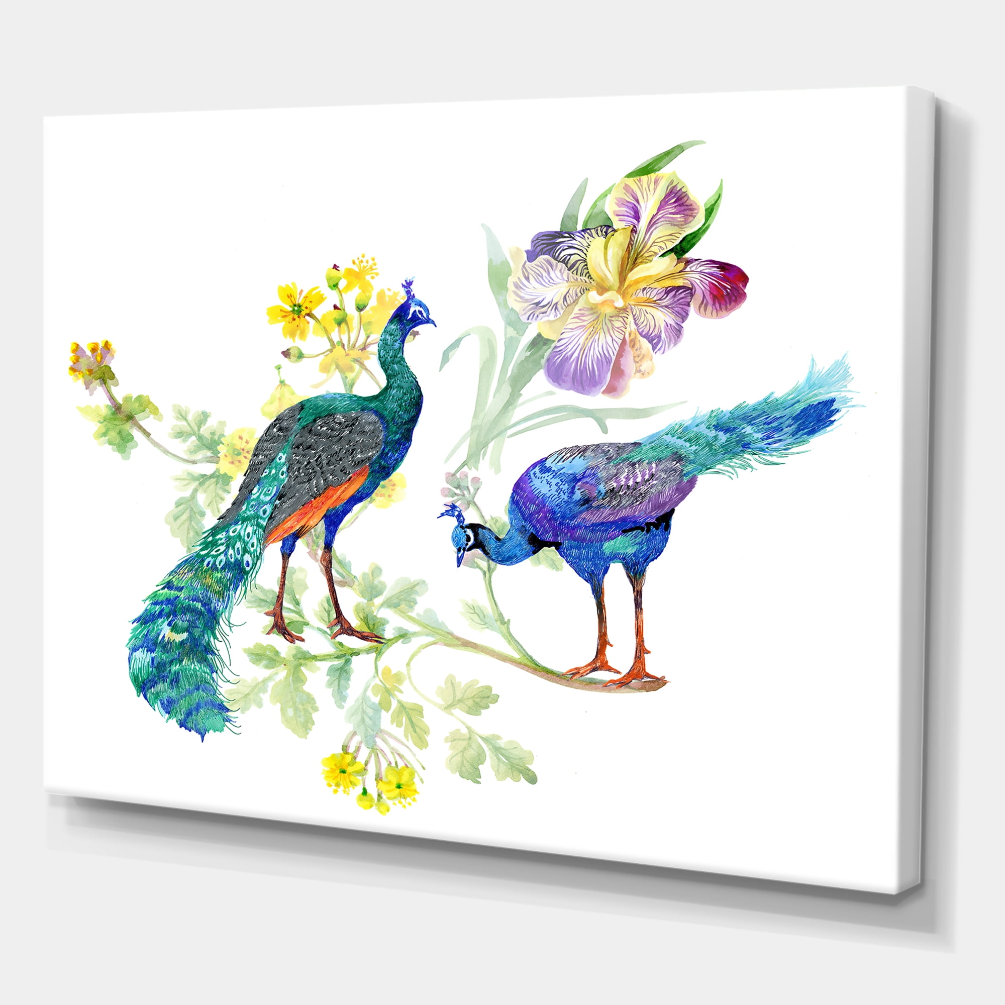 Designart ' Iris Flowers and Peacocks ' Traditional Canvas Wall Art Print