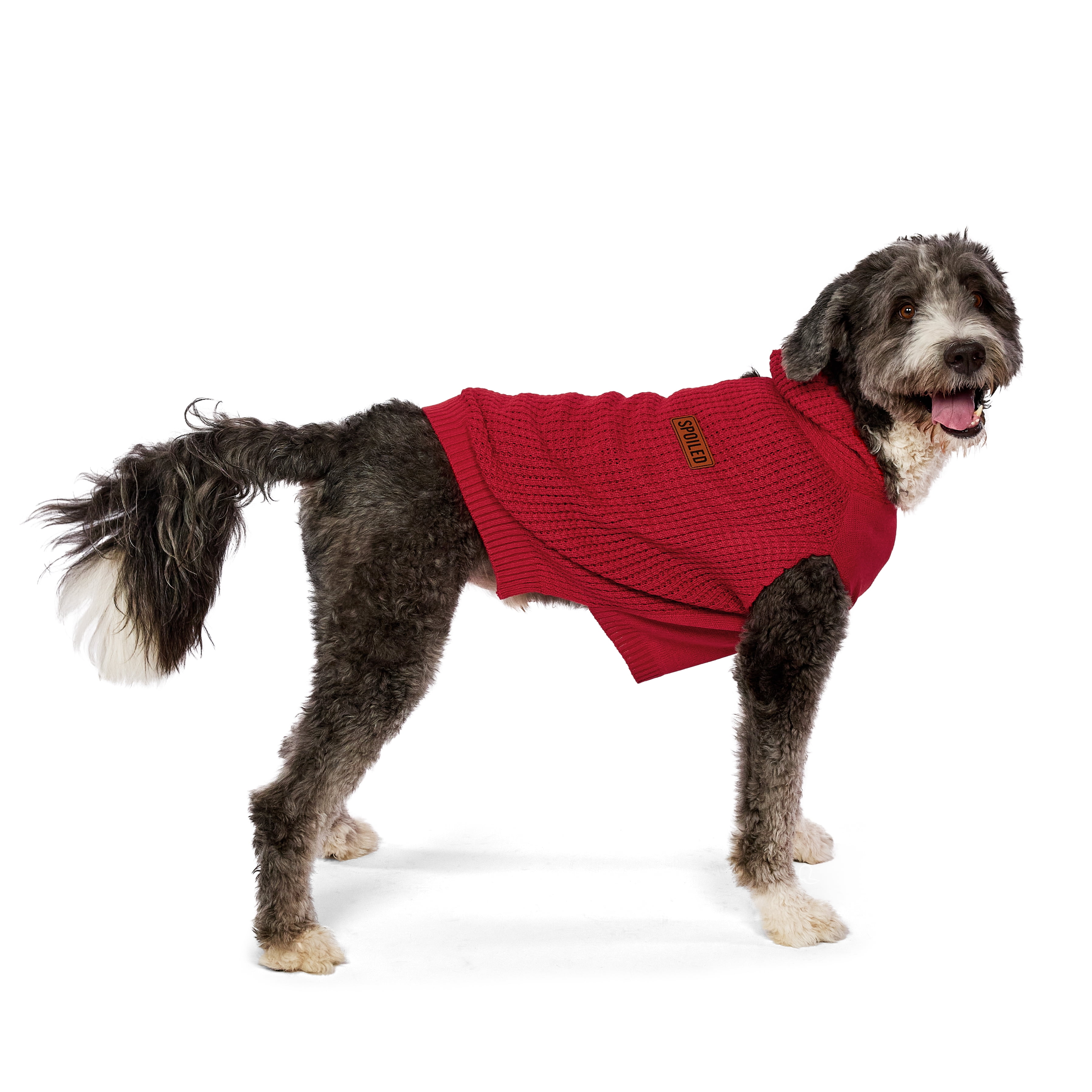 Vibrant Life Holiday Pet Sweater for Dogs, Spoiled Waffle Knit, Red, Large