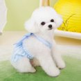 thumbnail image 3 of Adorable Pet Clothes for Cats & Small Dogs - Charming Spring & Autumn Wear, 3 of 4