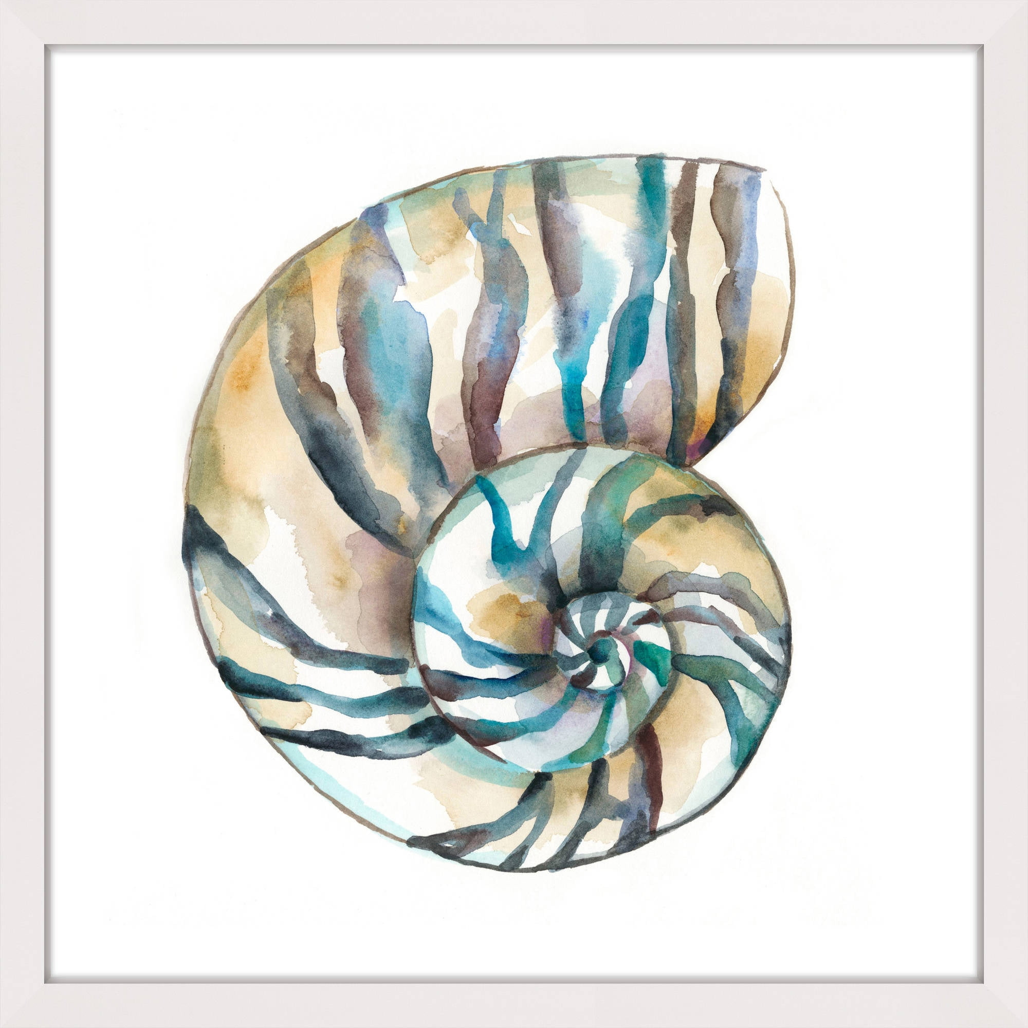 "Aquarelle Shells II" Framed Painting Print