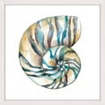 thumbnail image 2 of "Aquarelle Shells II" Framed Painting Print, 2 of 6