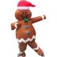 thumbnail image 1 of Disfraz inflable de Navidad para adultos/hombres, disfraz de Halloween, 1 of 4