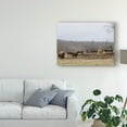 thumbnail image 3 of Trademark Fine Art 'Farm Study VI' Canvas Art by Adam Mead, 3 of 4