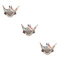 thumbnail image 3 of Methold Hamaca para ratas, cama colgante de Material Premium, colores surtidos, suministros para mascotas de lana para hámster, ardilla, estrella de Type1 NO1 Methold  CBP374287, 3 of 6
