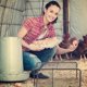 thumbnail image 4 of SHOWERORO 1Jgo Plataforma Para Gallinas Con Hierro Negro Para Almacenaje Resistente Y, 4 of 6