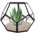 thumbnail image 1 of Terrario geométrico de mesa, 7.8 x 7.8 x 6.5 pulgadas de metal con contenedor de terrario de suculentas de vidrio, jardinera de aire, joyería, decoración de boda, caja de cartón de flores, portavelas Xemadio CZJJ-ZH35-1, 1 of 6