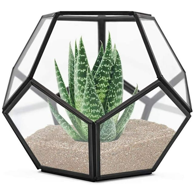 Terrario geométrico de mesa, 7.8 x 7.8 x 6.5 pulgadas de metal con terrario de plantas suculentas de vidrio, jardinera de aire, joyería, decoración de boda, caja de tarjeta de flores, portavelas Ormromra CZJJ-ZH35-1