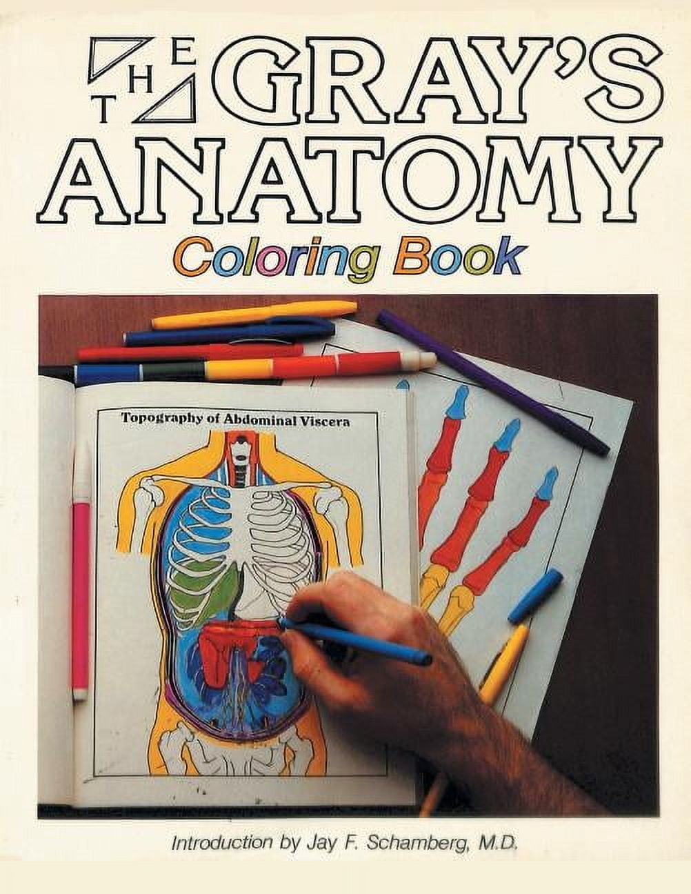 Netter's Anatomy Coloring Book Updated Edition - Walmart.com