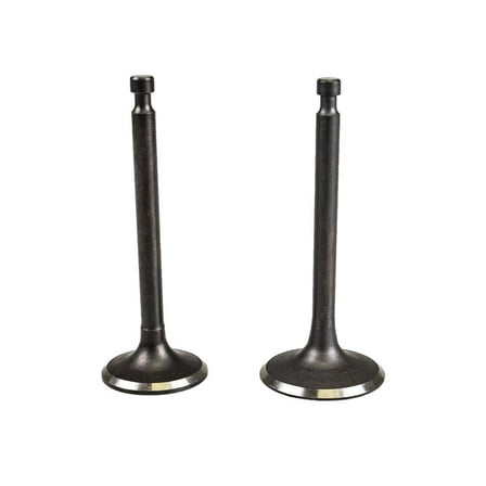 MTD 951-11337 Cylinder Head Valve Kit Troy-Bilt R 1000