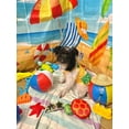 thumbnail image 2 of Traje de baño para perros IMDOUBLEDOU Pineapple Bikini Small Amarillo, 2 of 8