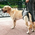thumbnail image 2 of Dog Sling for Back Legs Support Adjustable Dog Lift Harness Back Padded Support Strap for Puppy Injuries Joint Recovery, 2 of 8