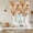 White Orange, variant on Watercolor Floral Balloon Curtains 63 Inch Length for Living Room/Bedroom, Spring Poppy Daisy Flowers Botanical Beige Rod Pocket Privacy Door Curtains Decorative Tie Up Shade for Window 52"x63"